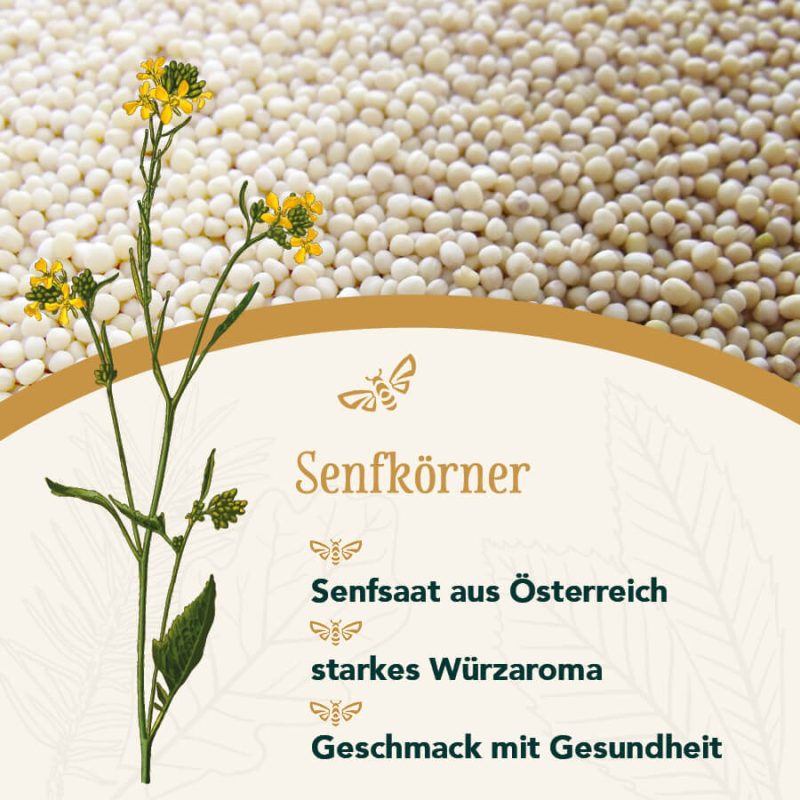 Senfhonig 100g – Bild 5