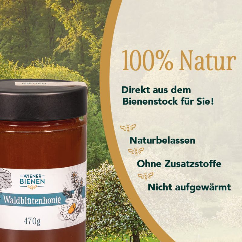 Waldblütenhonig – Bild 2