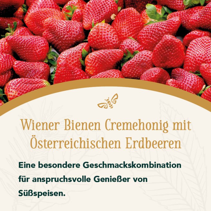 Honig mit Erdbeeren 240g – Bild 2